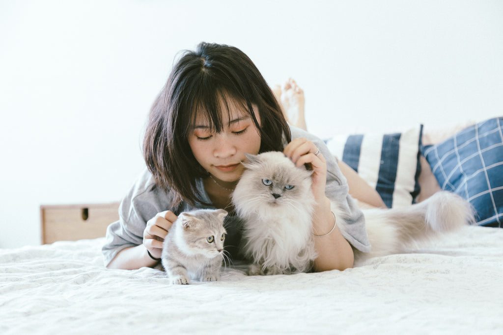 The Healing Power of Pets: Exploring the Impact on Diabetes Management